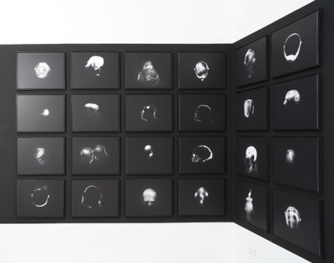 Blanquis Cosmology, 1995-2007, 2008